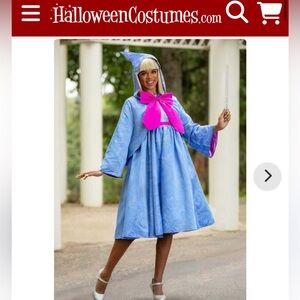 Fairy Godmother Costume